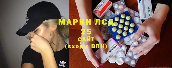 ПСИЛОЦИБИНОВЫЕ ГРИБЫ Абаза