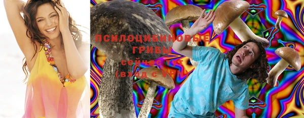 ПСИЛОЦИБИНОВЫЕ ГРИБЫ Абаза