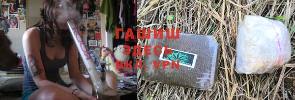 ПСИЛОЦИБИНОВЫЕ ГРИБЫ Абаза