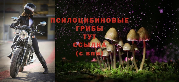 соль курить ск Абинск