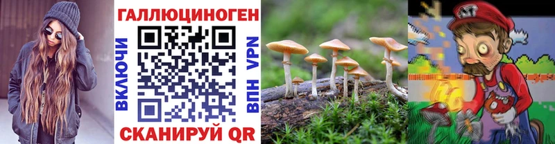 kraken онион  Красноперекопск  Галлюциногенные грибы Cubensis 